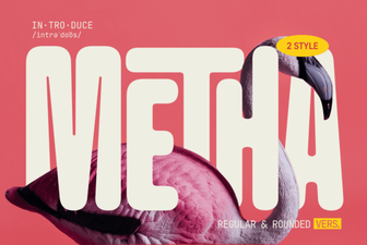 Creative Typography with Metha Font